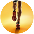 sport-fitness sport-fitness